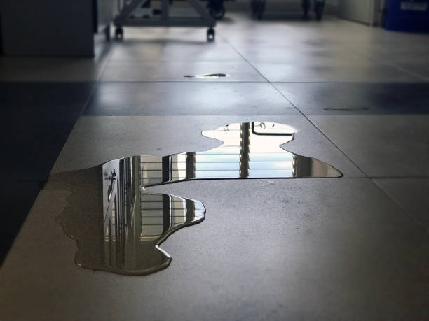 Best Water damage contractors near me  in Fuquay Varina, NC