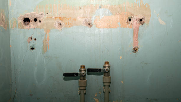 Best Water damage restoration near me  in Fuquay Varina, NC