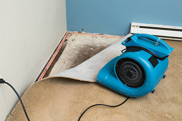 Best Residential water damage restoration  in Fuquay Varina, NC